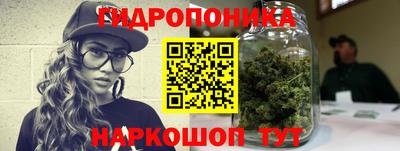 стафф Сланцы