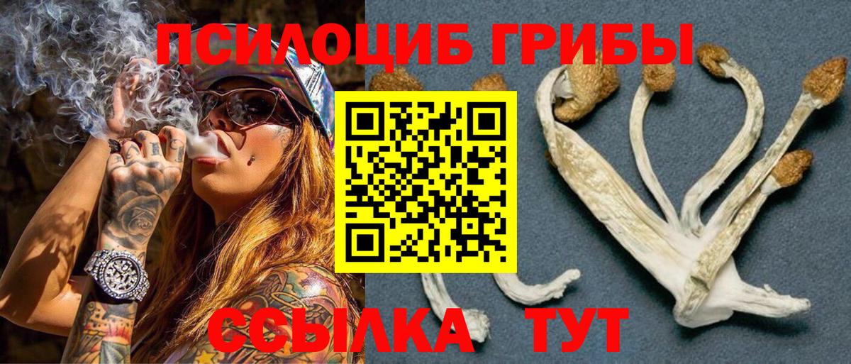 Галлюциногенные грибы Cubensis Ногинск